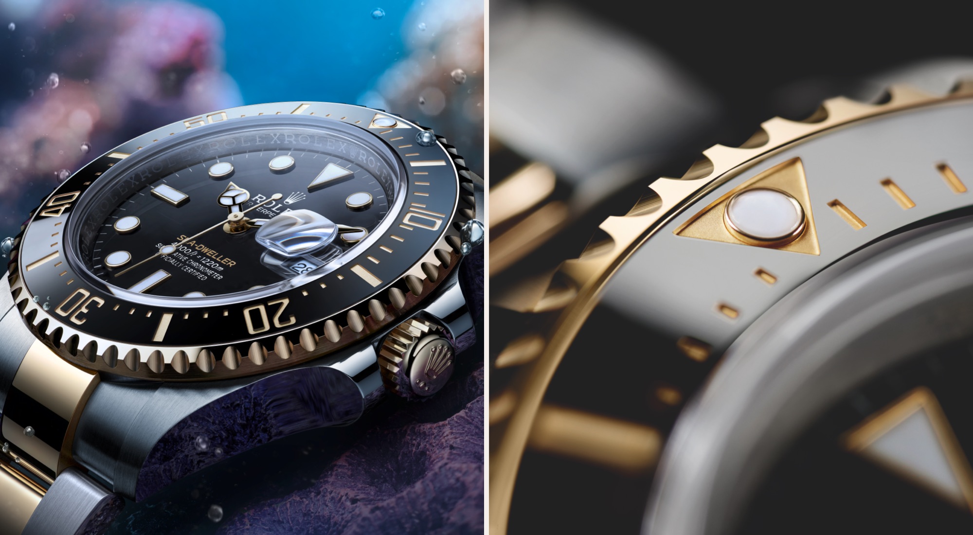 sea-dweller-fourth-image